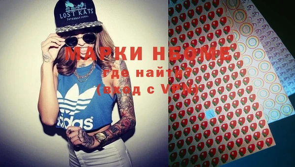гашик Няндома