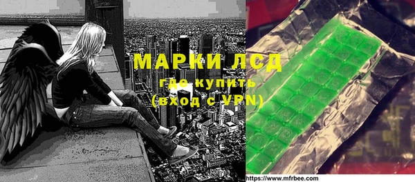 гашик Няндома