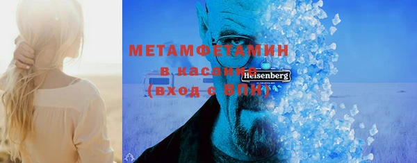 сатива Новодвинск