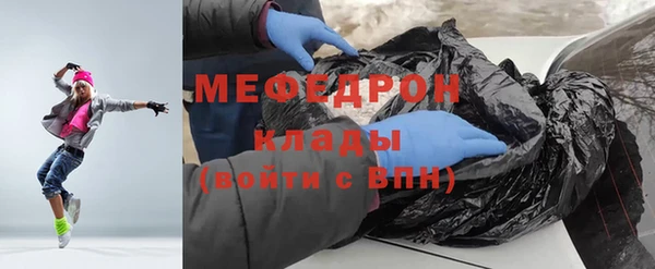 сатива Новодвинск