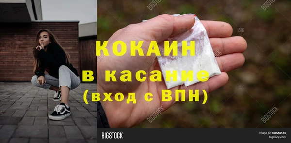 сатива Новодвинск