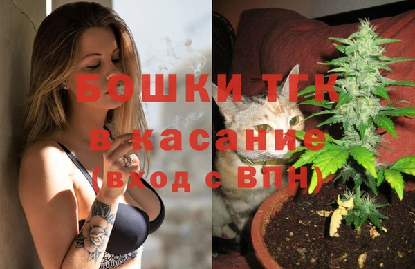 ECSTASY Белокуриха