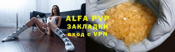 индика Нязепетровск