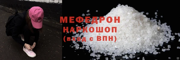 сатива Новодвинск