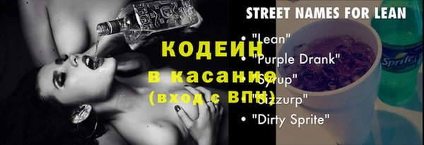 индика Нязепетровск