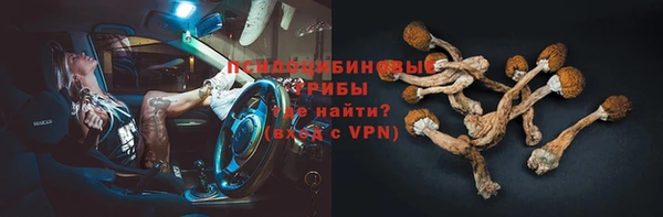 индика Нязепетровск