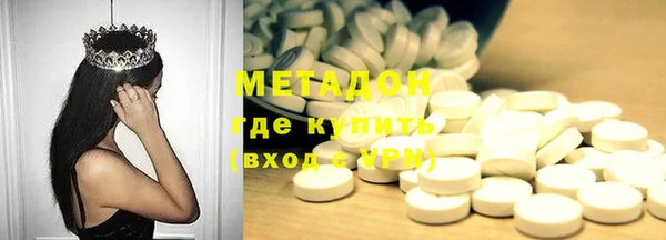 сатива Новодвинск