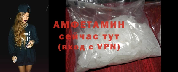 гашик Няндома