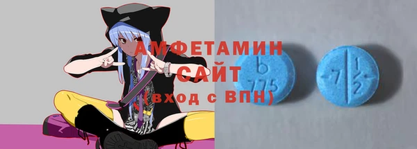 гашик Няндома