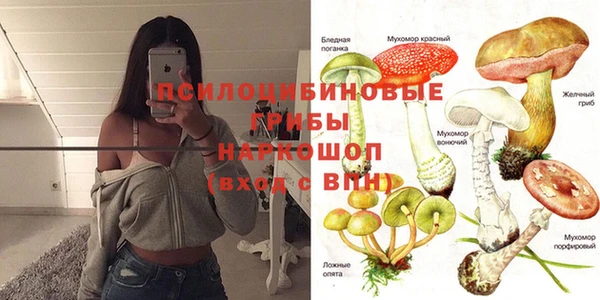 гидропоника Нягань