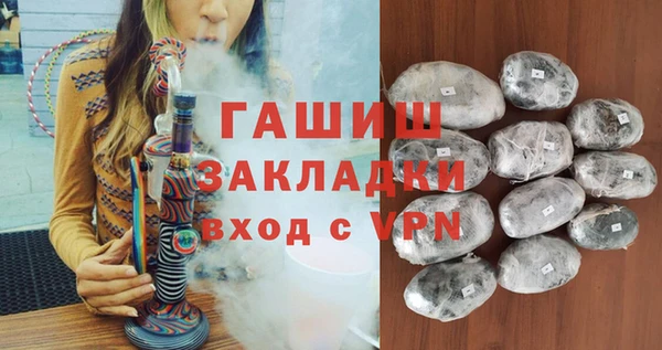 гашик Няндома