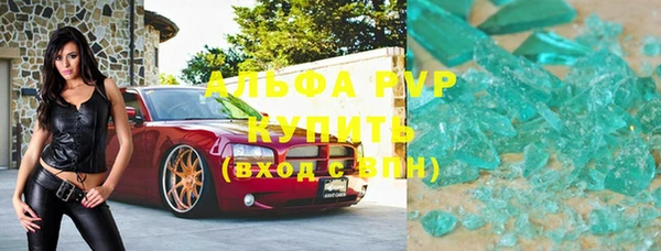 сатива Новодвинск