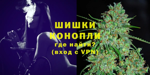стафф Новокубанск