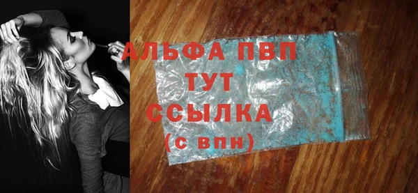 индика Нязепетровск