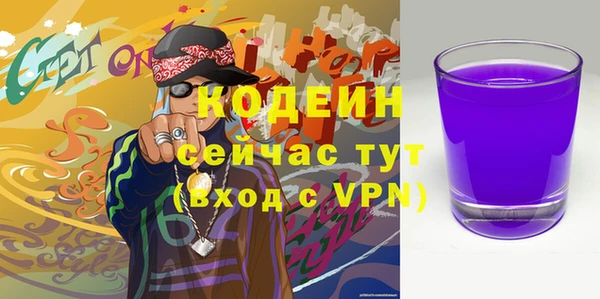 гашик Няндома