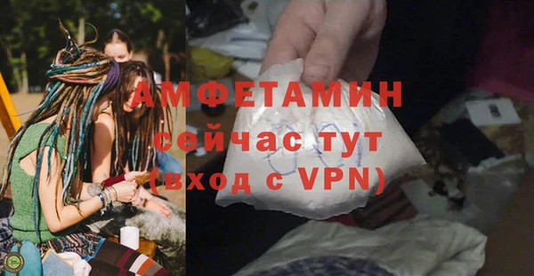 сатива Новодвинск